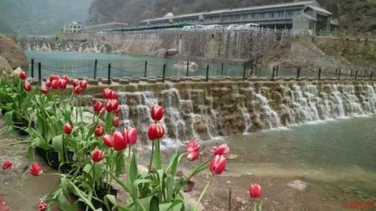 密室逃脱5之惊魂博物馆