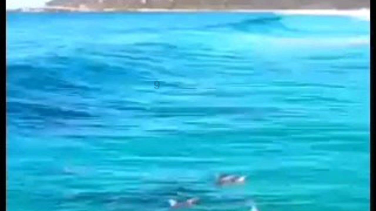 最终幻想15